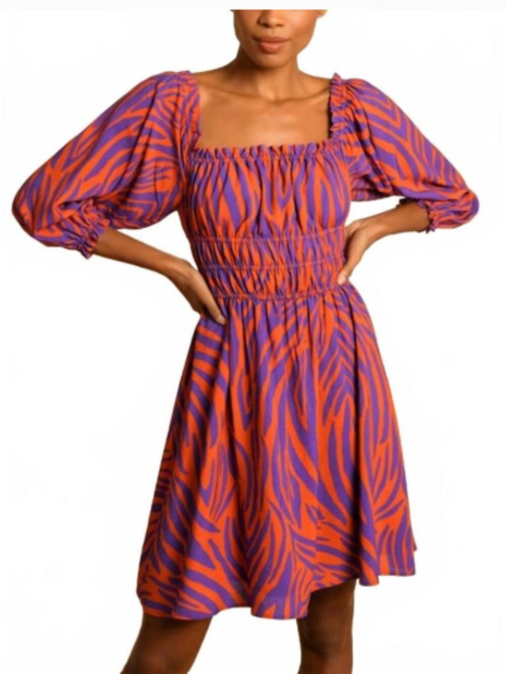 NWOT Hutch Palmer Zebra Dress